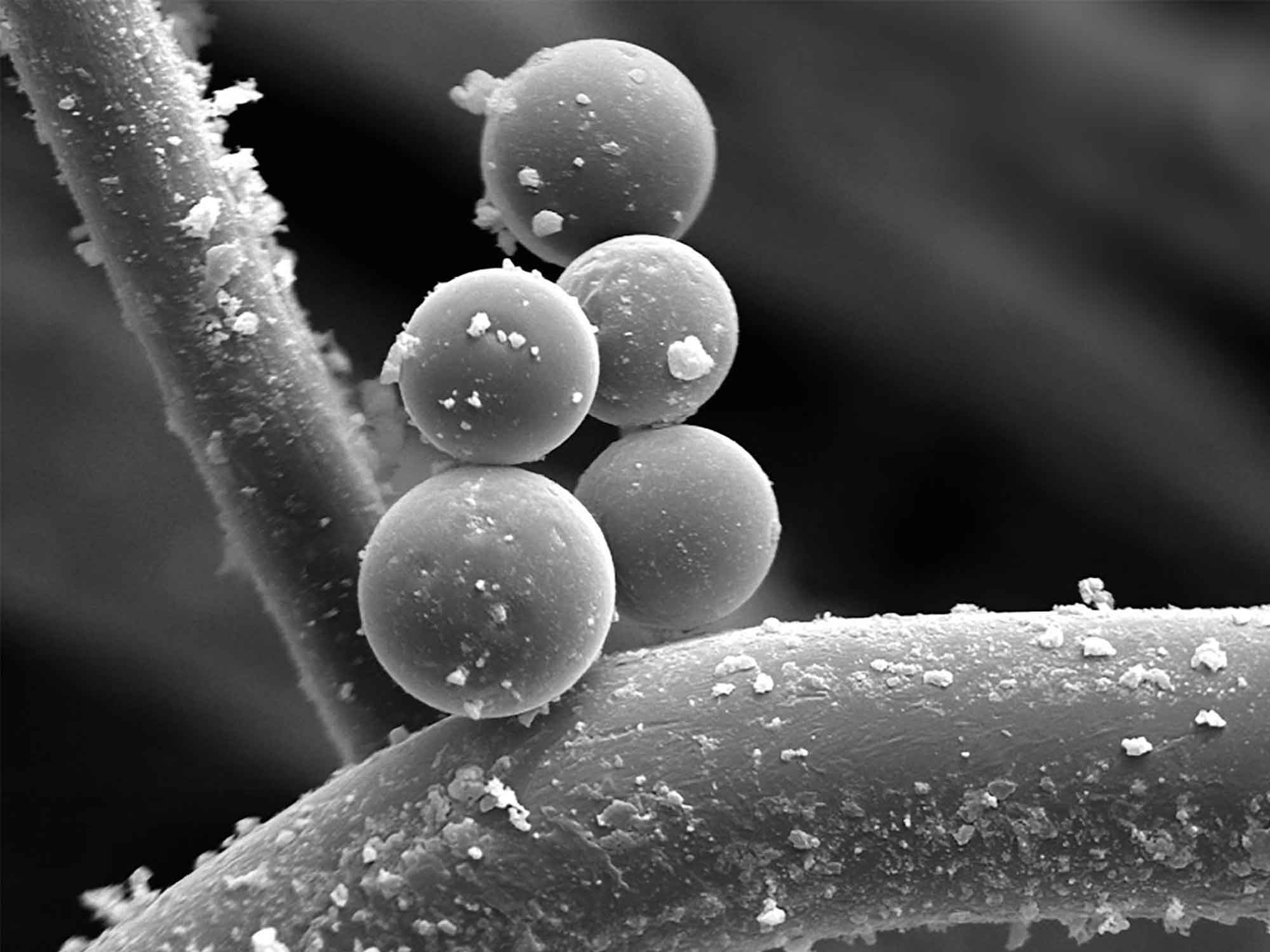 Representation of particles