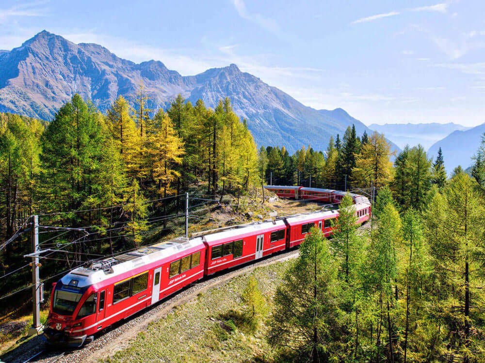 Train sur les rails entourés d’arbres verts