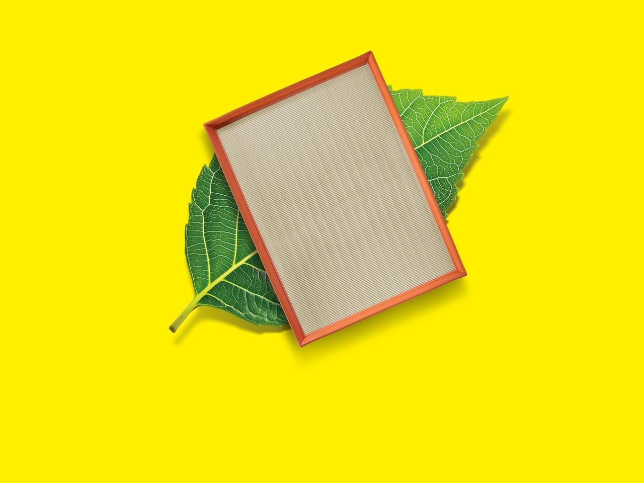 MANN-FILTER Naturally better visual leaf