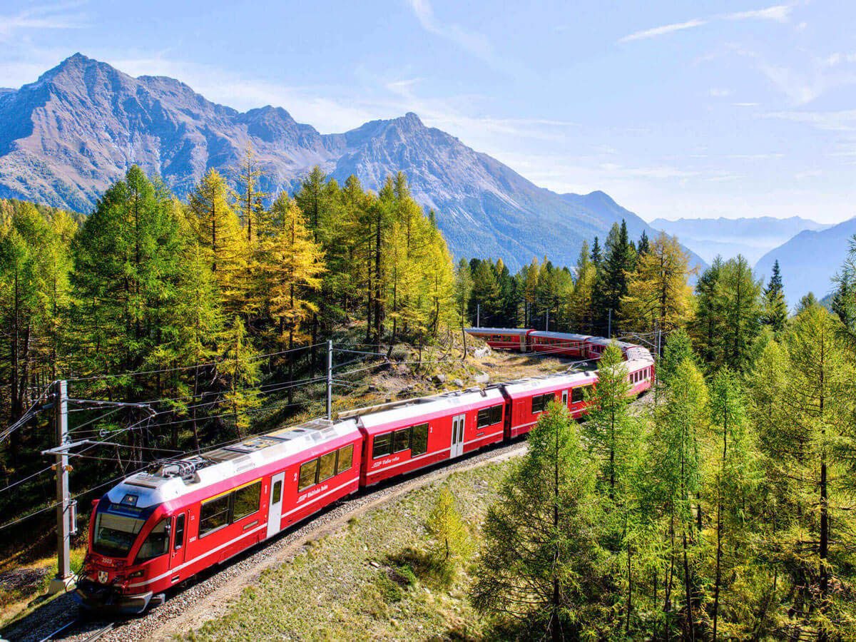 Train on the rails surrounded by green trees