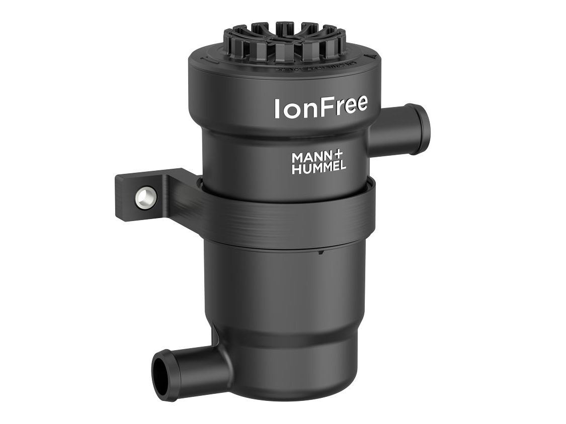 Ion exchange filter